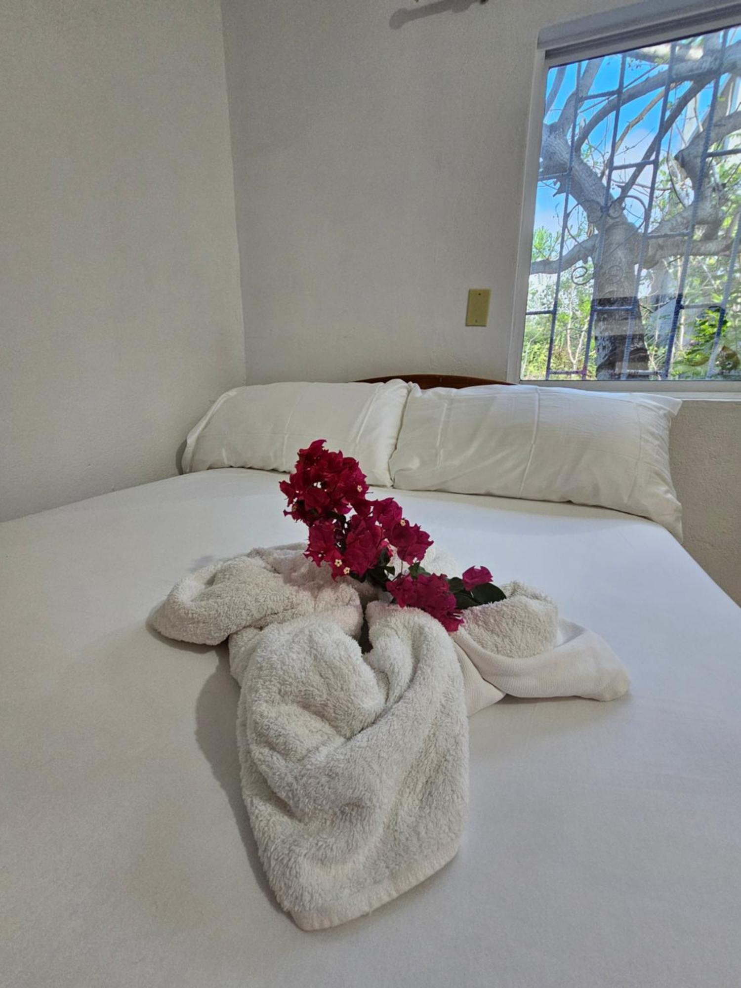 Lovely Inn San Cristóbal Dış mekan fotoğraf